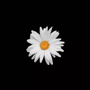 日本人真人性交做爱视频免费看
